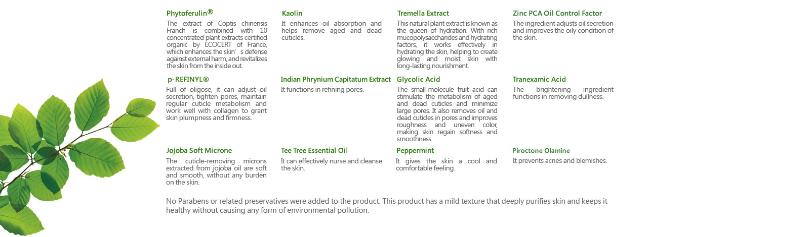 [cml_media_alt id='6966']tee-tree-purifying-clay-mask-cleanser-in-1-03[/cml_media_alt]
