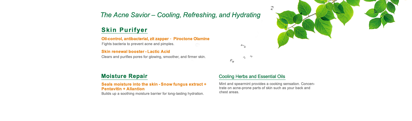 [cml_media_alt id='6969']tea-tree-shine-control-blemish-clear-shower-gel-02[/cml_media_alt]