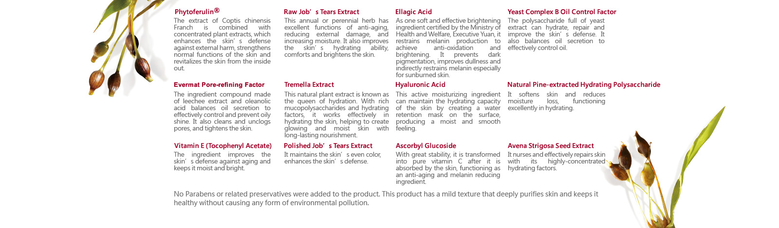 [cml_media_alt id='4282']rjt-supercritical-co2-pore-minimizing-brightening-mask-03[/cml_media_alt]