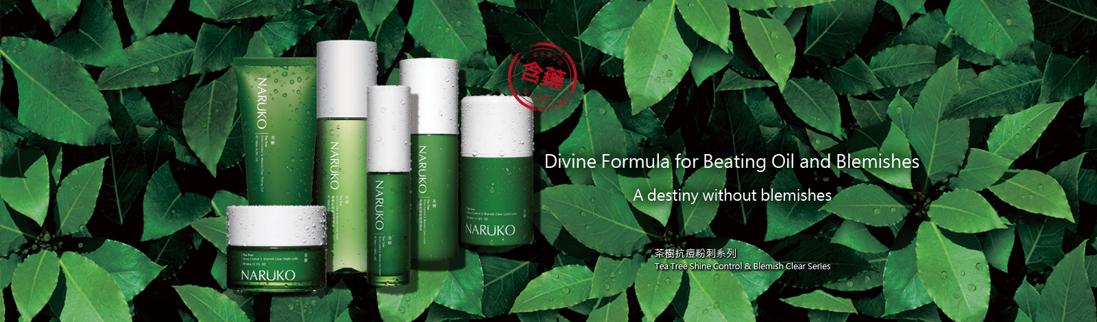 [cml_media_alt id='7022']tea-tree-shine-control-blemish-clear-series-01[/cml_media_alt]