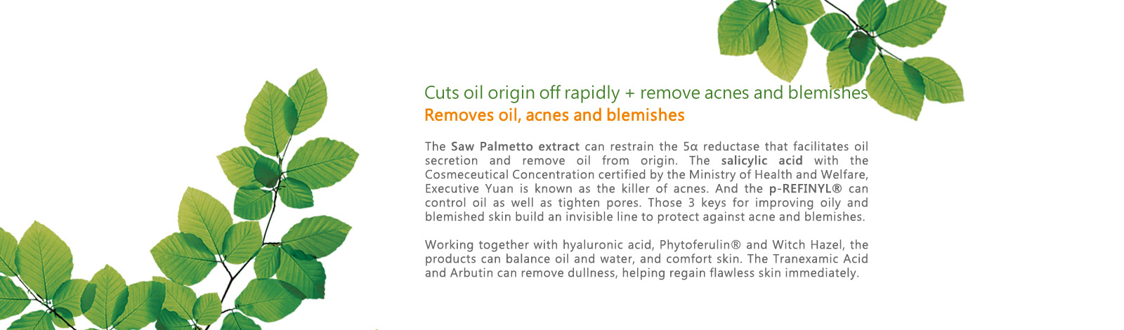 [cml_media_alt id='7026']tea-tree-shine-control-blemish-clear-series-02[/cml_media_alt]
