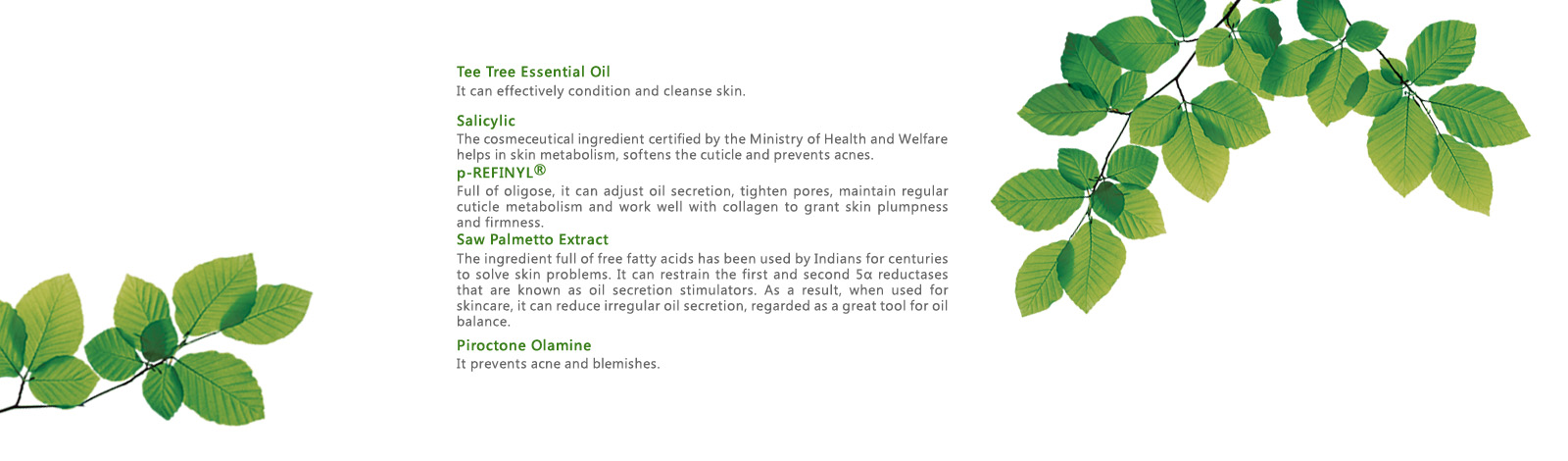 [cml_media_alt id='7028']tea-tree-shine-control-blemish-clear-series-04[/cml_media_alt]