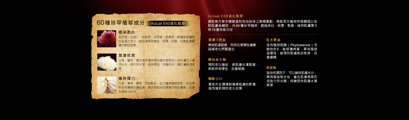 [cml_media_alt id='6043']la-creme-page-3c[/cml_media_alt]